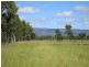 1140 “Glenwood” Cooinda Road, Dingo QLD 4702