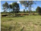 1140 “Glenwood” Cooinda Road, Dingo QLD 4702