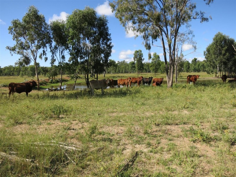 1140 “Glenwood” Cooinda Road, Dingo QLD 4702
