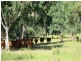 1140 “Glenwood” Cooinda Road, Dingo QLD 4702