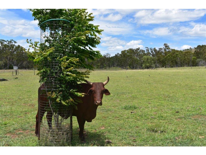49582 Burnett Highway, Oakey Creek QLD 4714