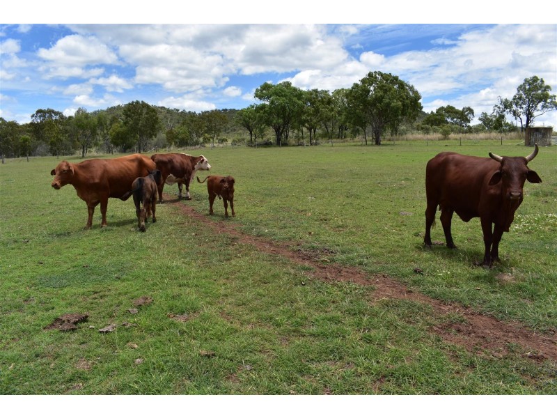 49582 Burnett Highway, Oakey Creek QLD 4714