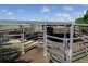 257 Lanyon Road, South Yaamba QLD 4702