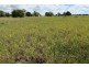 257 Lanyon Road, South Yaamba QLD 4702