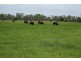 257 Lanyon Road, South Yaamba QLD 4702