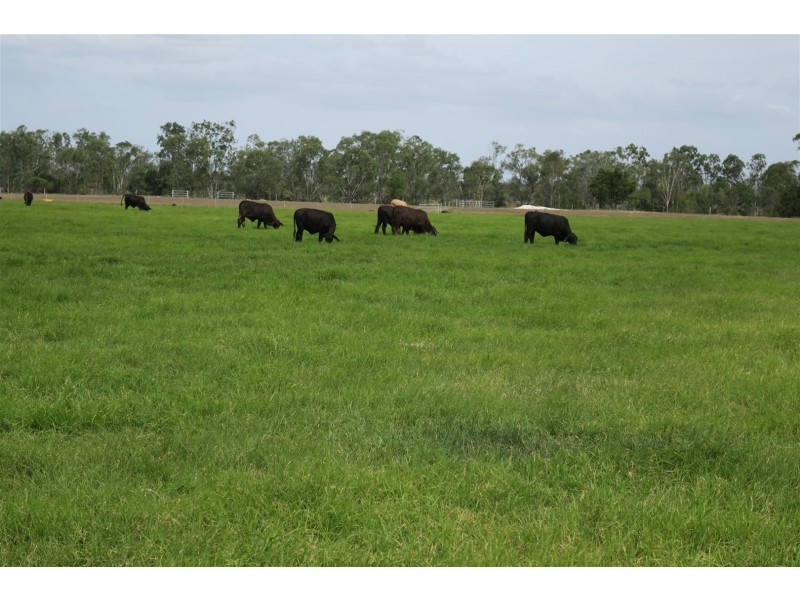 257 Lanyon Road, South Yaamba QLD 4702