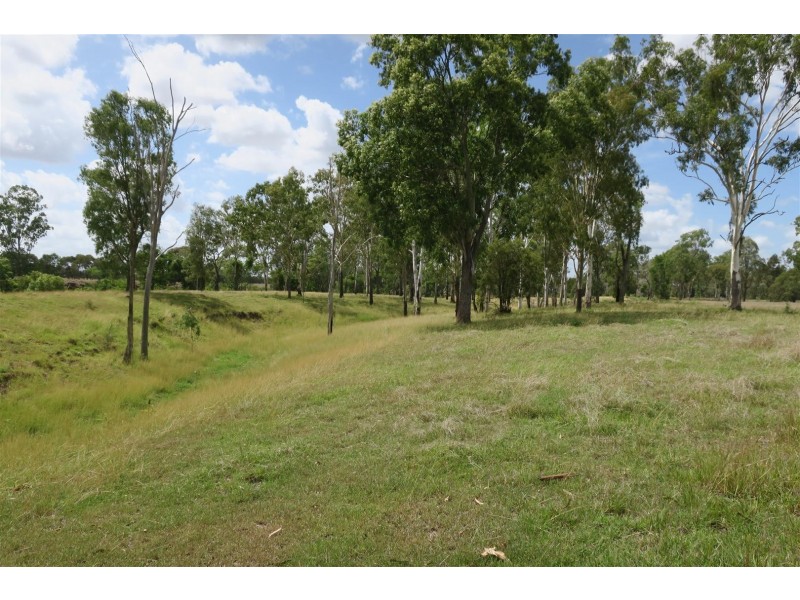 82 Lyttle Lane, Ridgelands QLD 4702