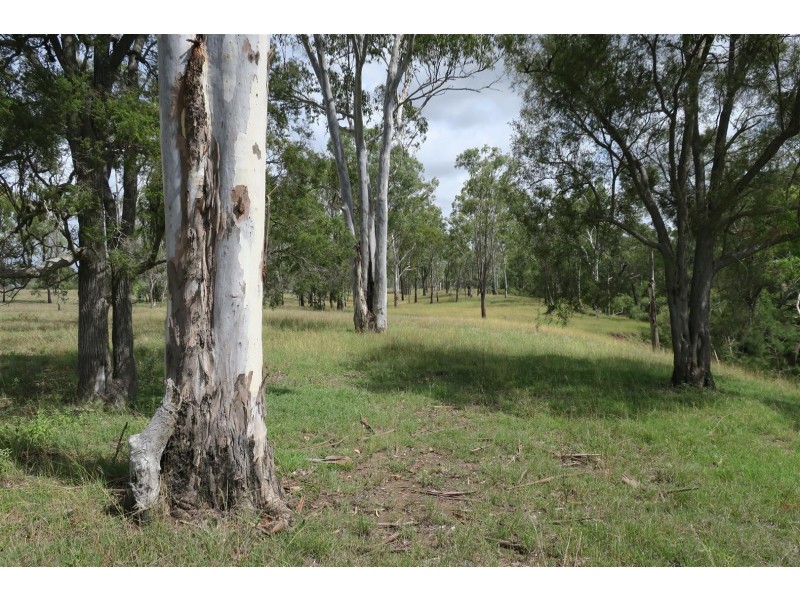 82 Lyttle Lane, Ridgelands QLD 4702