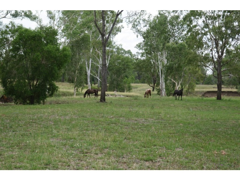 82 Lyttle Lane, Ridgelands QLD 4702