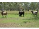 82 Lyttle Lane, Ridgelands QLD 4702