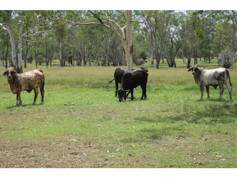 82 Lyttle Lane, Ridgelands QLD 4702