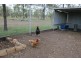 82 Lyttle Lane, Ridgelands QLD 4702