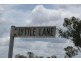 82 Lyttle Lane, Ridgelands QLD 4702