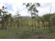 Lot 14 Atkinson Road, Kunwarara QLD 4702