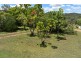 4 Wyvills Road, Moongan QLD 4714