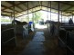 217 Lakes Creek Road, Berserker QLD 4701