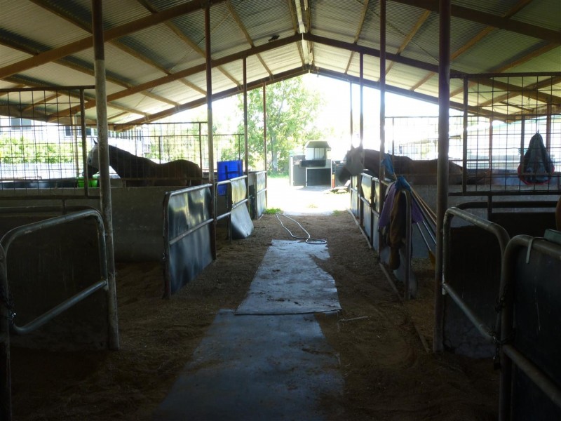 217 Lakes Creek Road, Berserker QLD 4701
