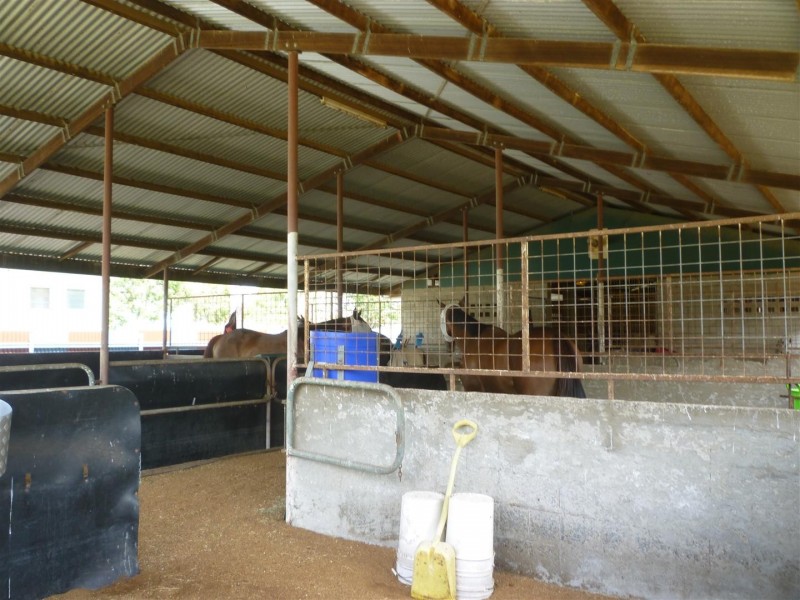 217 Lakes Creek Road, Berserker QLD 4701