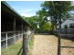 217 Lakes Creek Road, Berserker QLD 4701