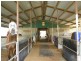 217 Lakes Creek Road, Berserker QLD 4701