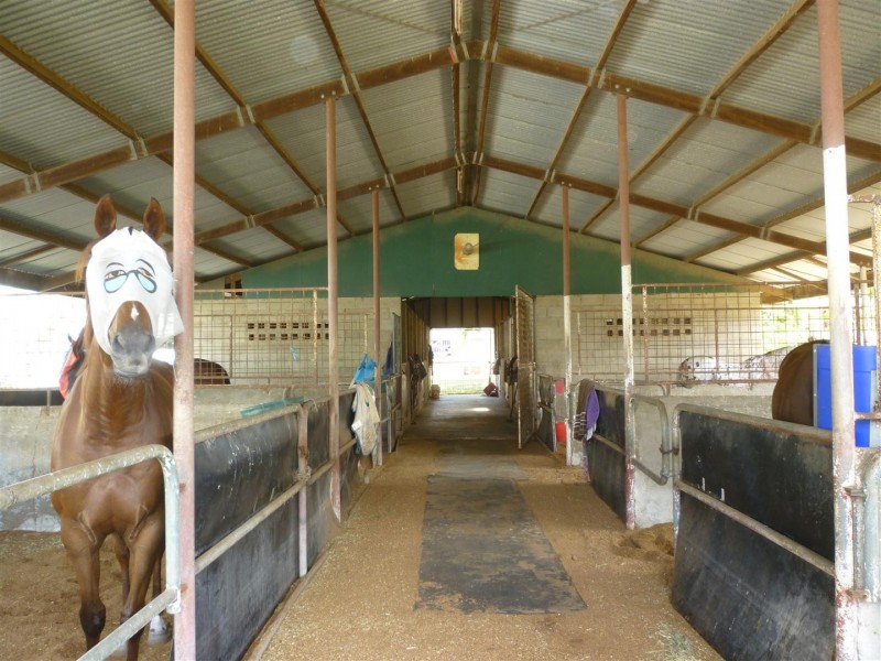217 Lakes Creek Road, Berserker QLD 4701