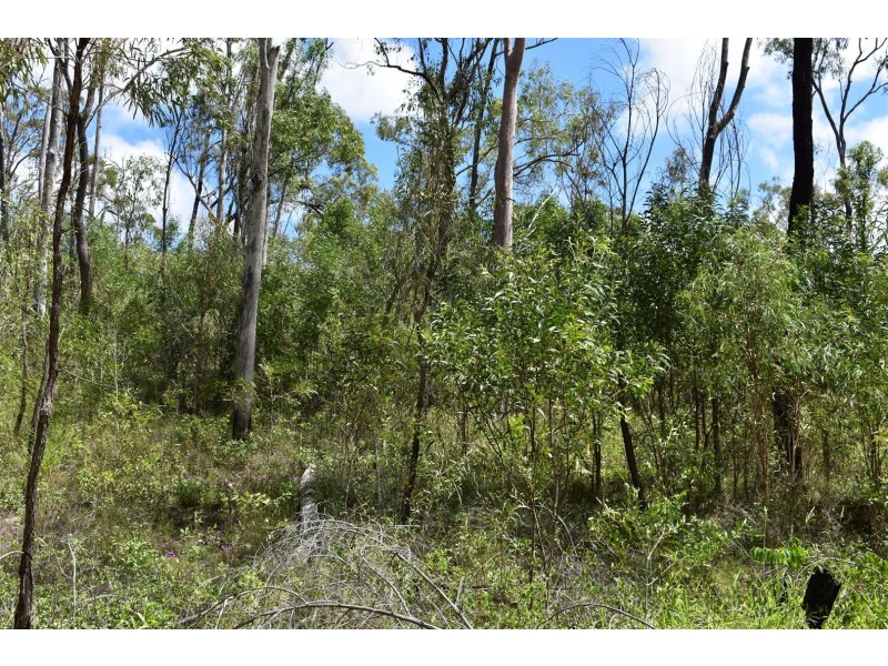 24 Lundager St, Moongan QLD 4714