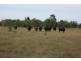 Lot 29 Lanyon Road, South Yaamba QLD 4702