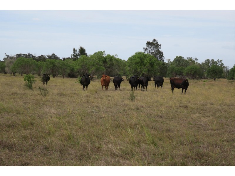 Lot 29 Lanyon Road, South Yaamba QLD 4702