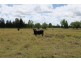 Lot 29 Lanyon Road, South Yaamba QLD 4702