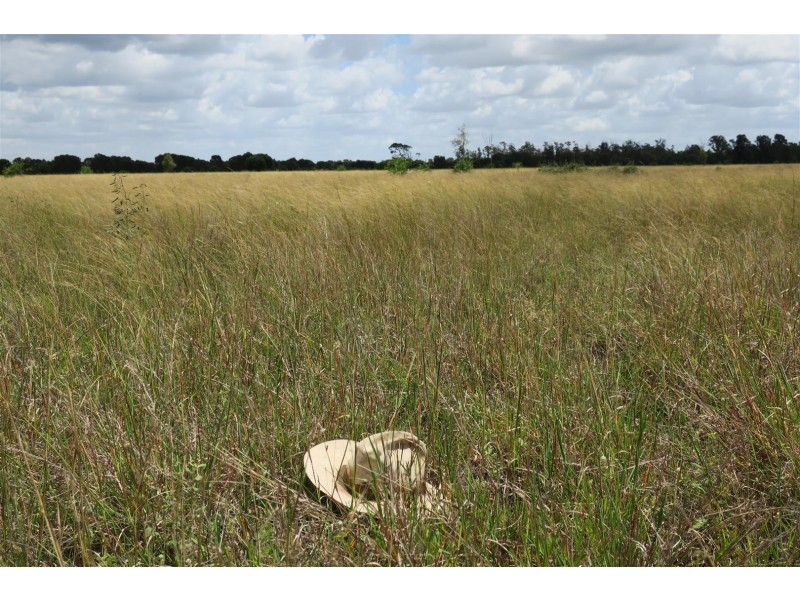 Lot 29 Lanyon Road, South Yaamba QLD 4702