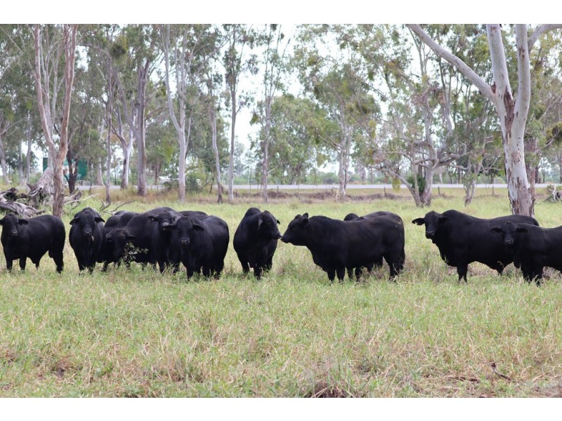 0 Capricorn Highway, Fairy Bower QLD 4700