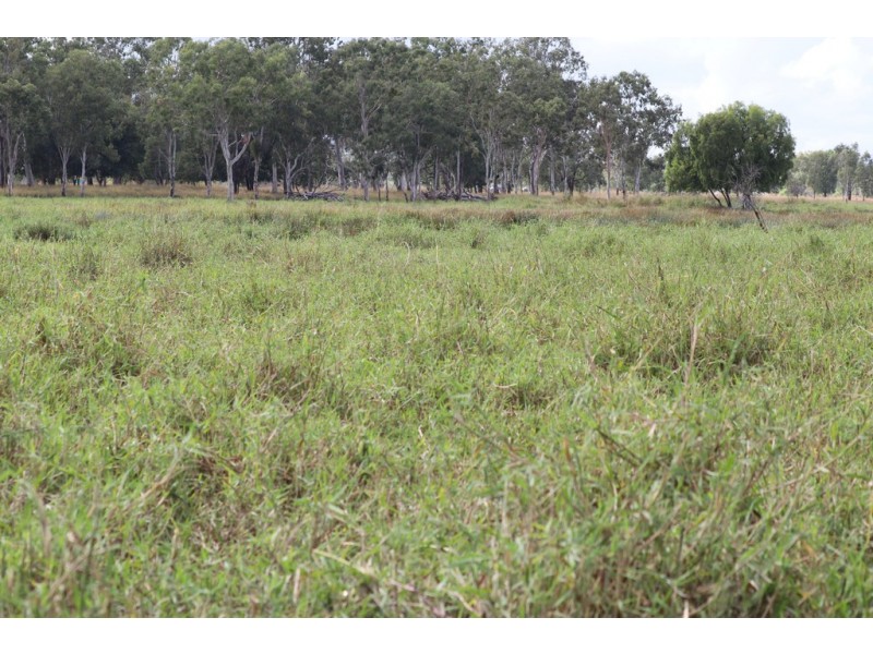 0 Capricorn Highway, Fairy Bower QLD 4700