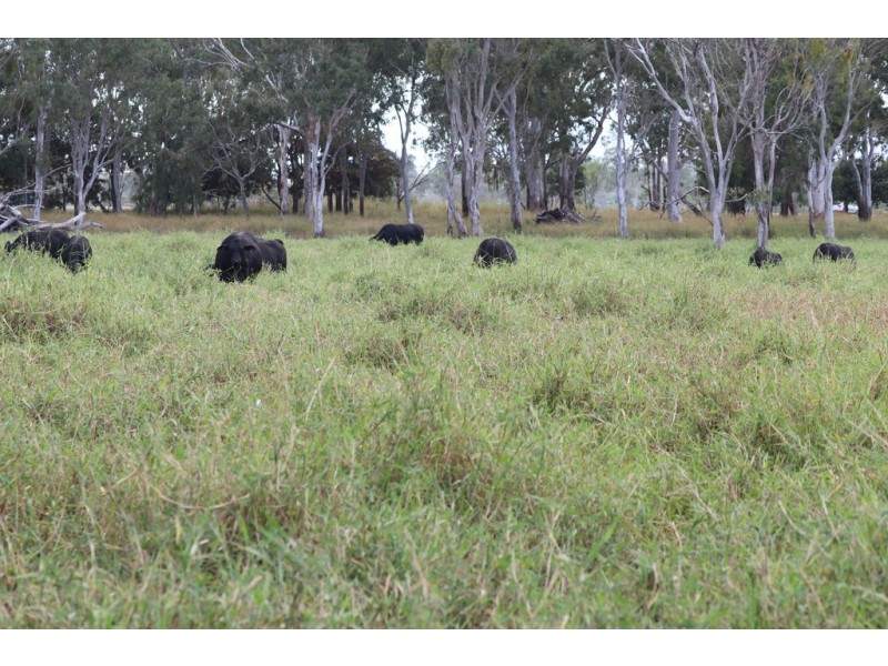 0 Capricorn Highway, Fairy Bower QLD 4700