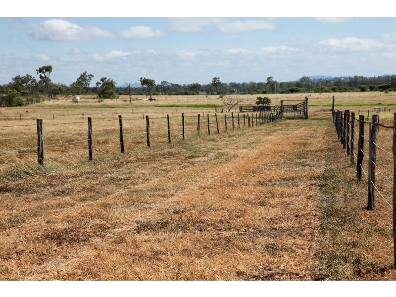 15 Watts Road, Gracemere QLD 4702