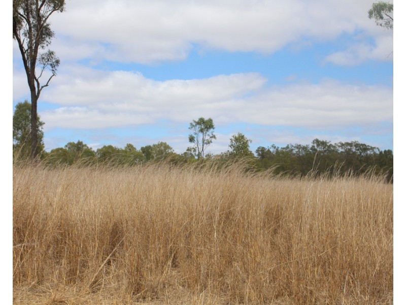 44 Langmorn Road, Raglan QLD 4697