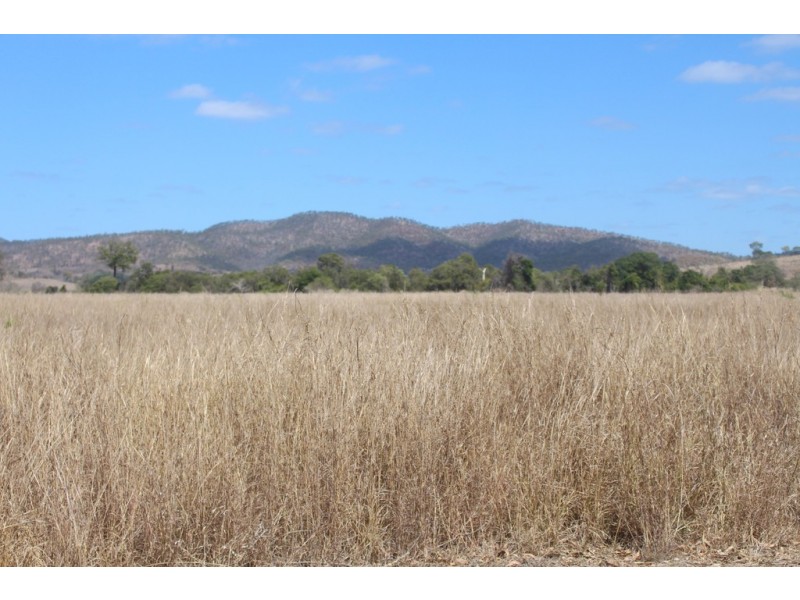 31 Duncan Road, Marmor QLD 4702