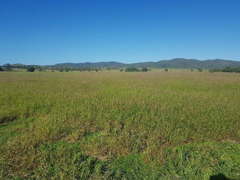 31 Duncan Road, Marmor QLD 4702