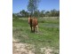342 CHERRYFIELD ROAD, Gracemere QLD 4702