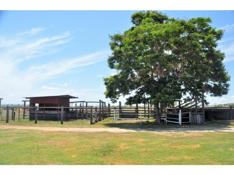 1149 RIDGELANDS ROAD, Alton Downs QLD 4702