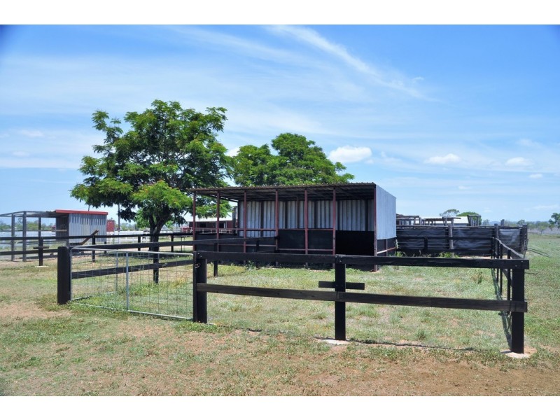 1149 RIDGELANDS ROAD, Alton Downs QLD 4702