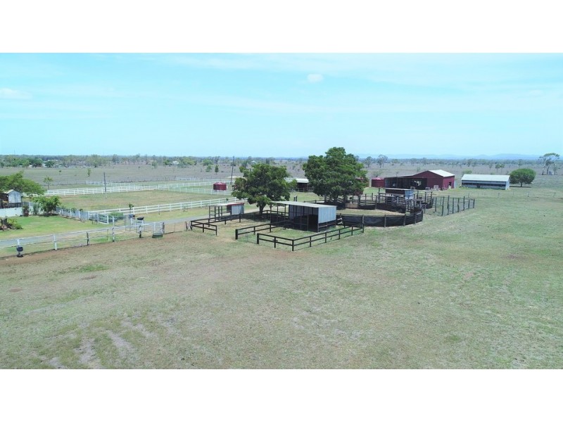 1149 RIDGELANDS ROAD, Alton Downs QLD 4702