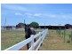 1149 RIDGELANDS ROAD, Alton Downs QLD 4702