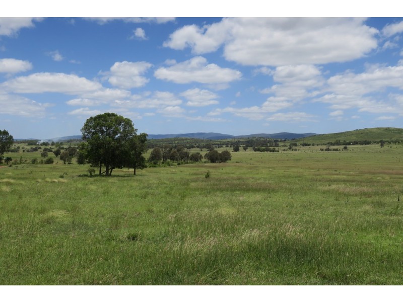 338 MOSES ROAD, Morinish QLD 4702