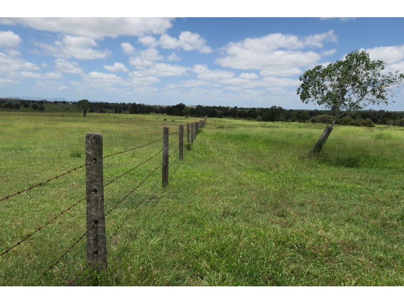 338 MOSES ROAD, Morinish QLD 4702