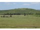 338 MOSES ROAD, Morinish QLD 4702