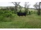 338 MOSES ROAD, Morinish QLD 4702