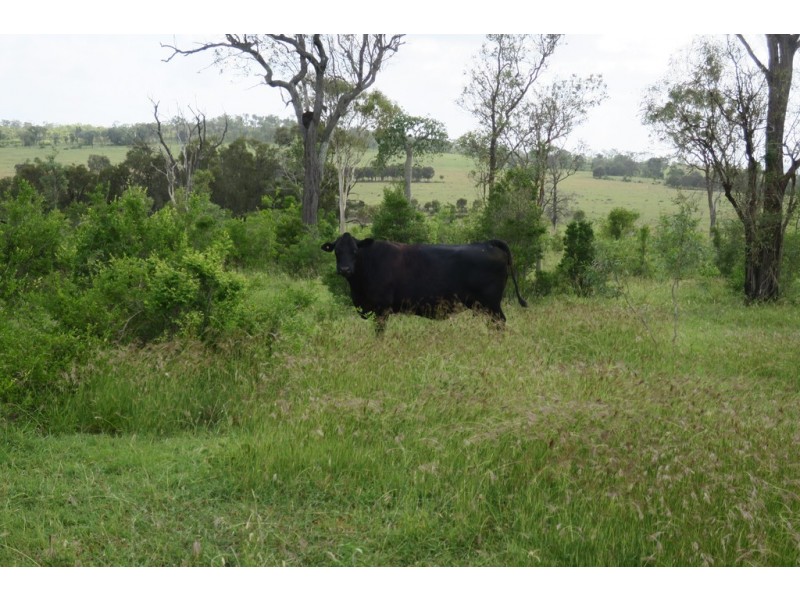 Lot 10 338 MOSES ROAD, Morinish QLD 4702