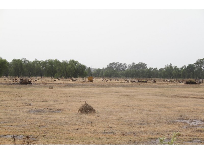 725 DEE RIVER ROAD, Dululu QLD 4702