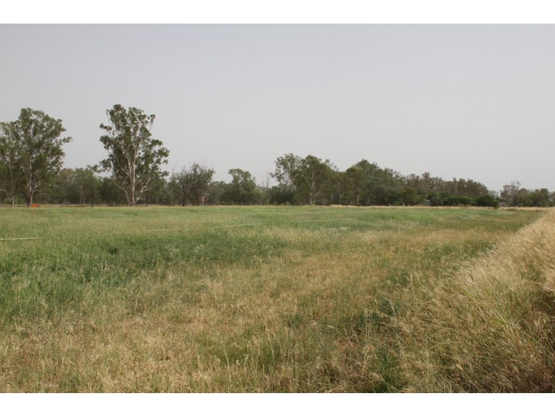 725 DEE RIVER ROAD, Dululu QLD 4702