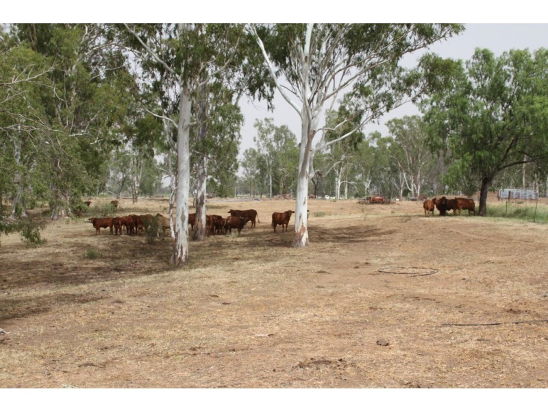 725 DEE RIVER ROAD, Dululu QLD 4702